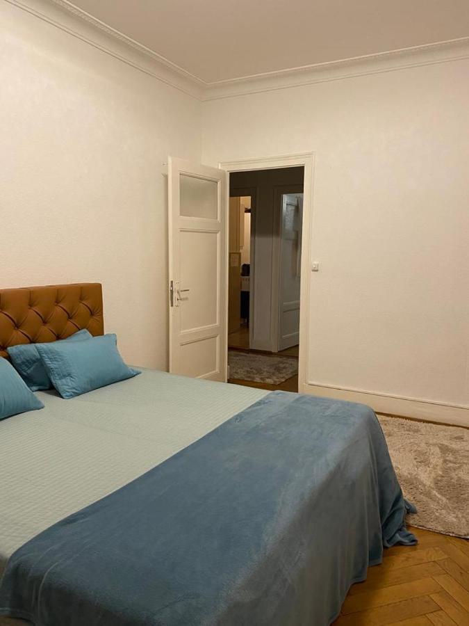 Large Apartment. Apartment